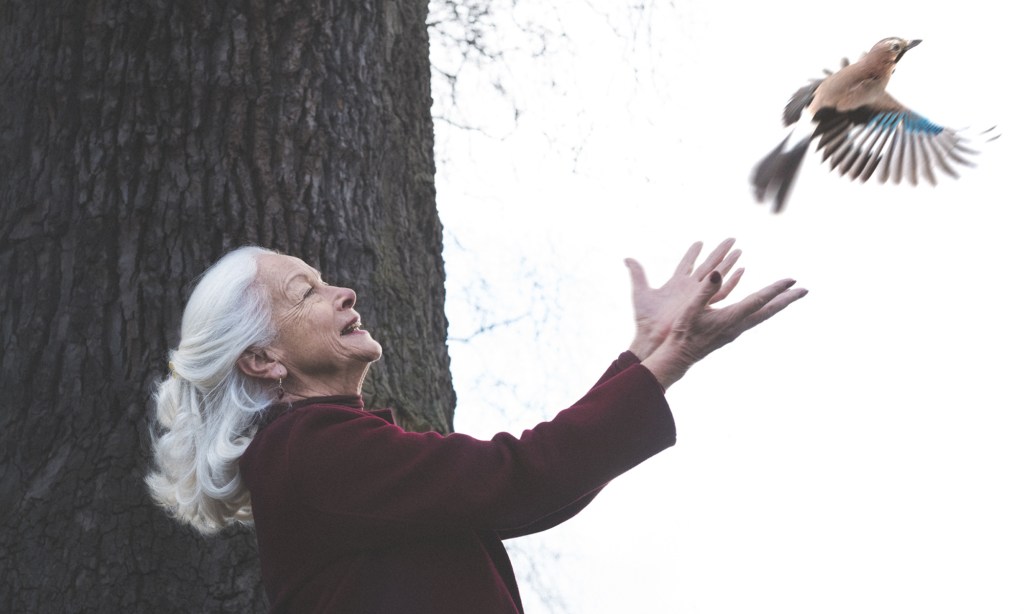 South Asia Union by 2025: Proposal for&nbsp;Sustainability